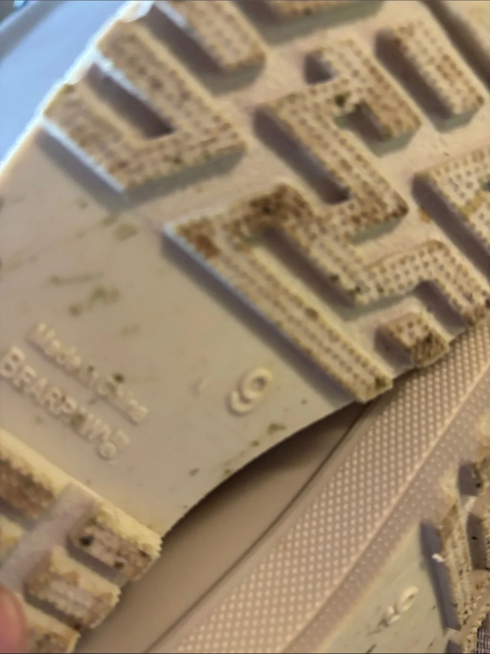 BearPaw glossy cream